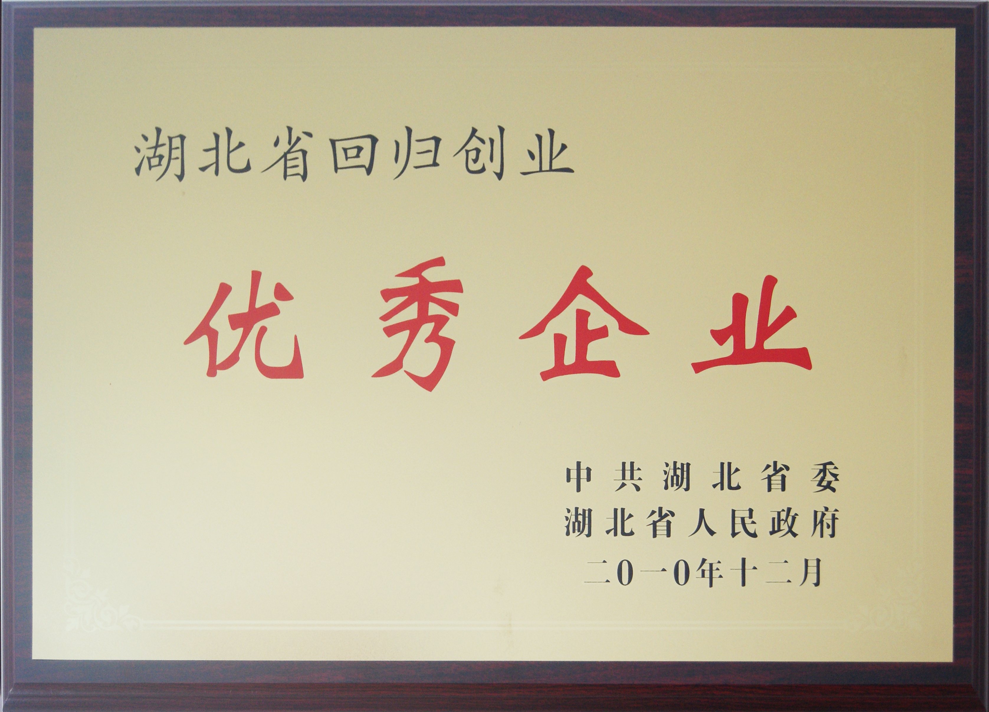 湖北省回歸創(chuàng)業(yè)優(yōu)秀企業(yè)